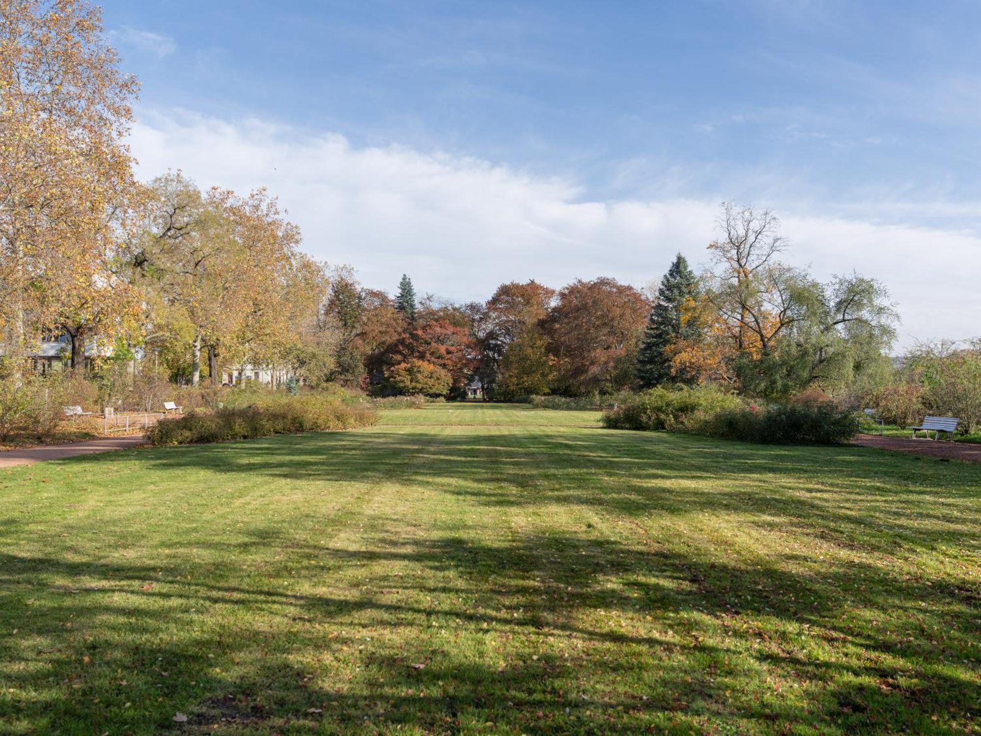 Limehome Dresden Hoyerswerdaerstrasse Bagian luar foto